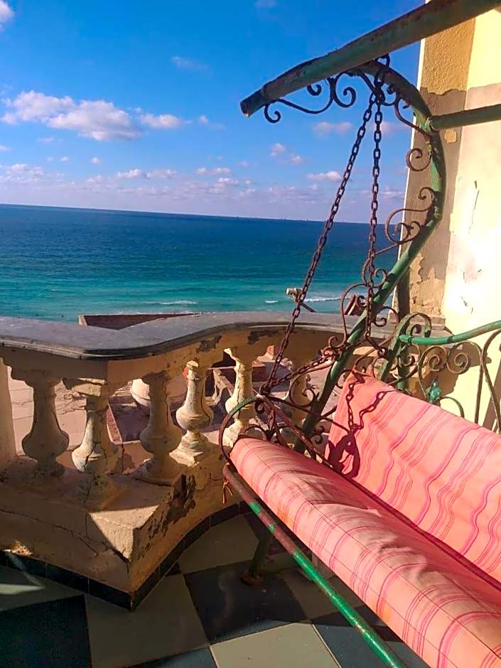 alexandria agamy betash