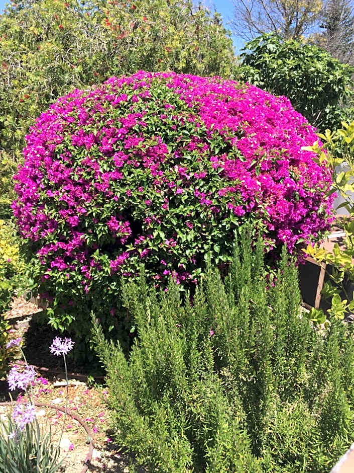 Casa Baliza, adults only