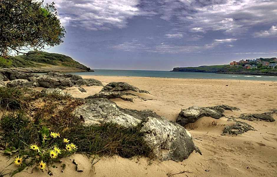 Hotel Playa La Arena