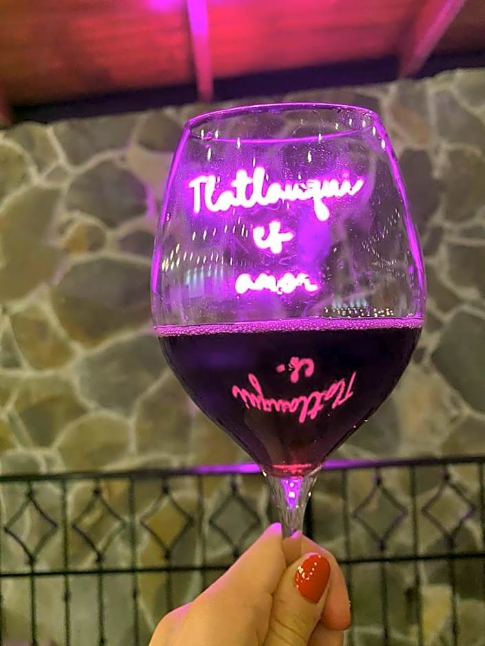 Hotel & Suites Cerro Roj0