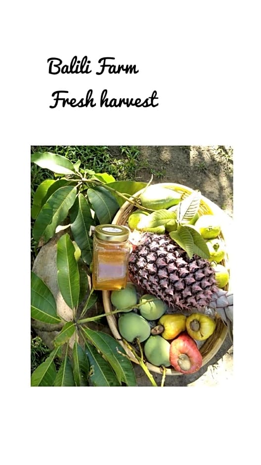 Balili Farm At Nacpan