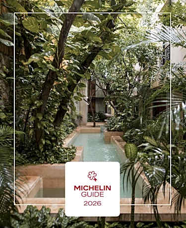 TreeHouse Boutique Hotel, an adults only boutique hotel