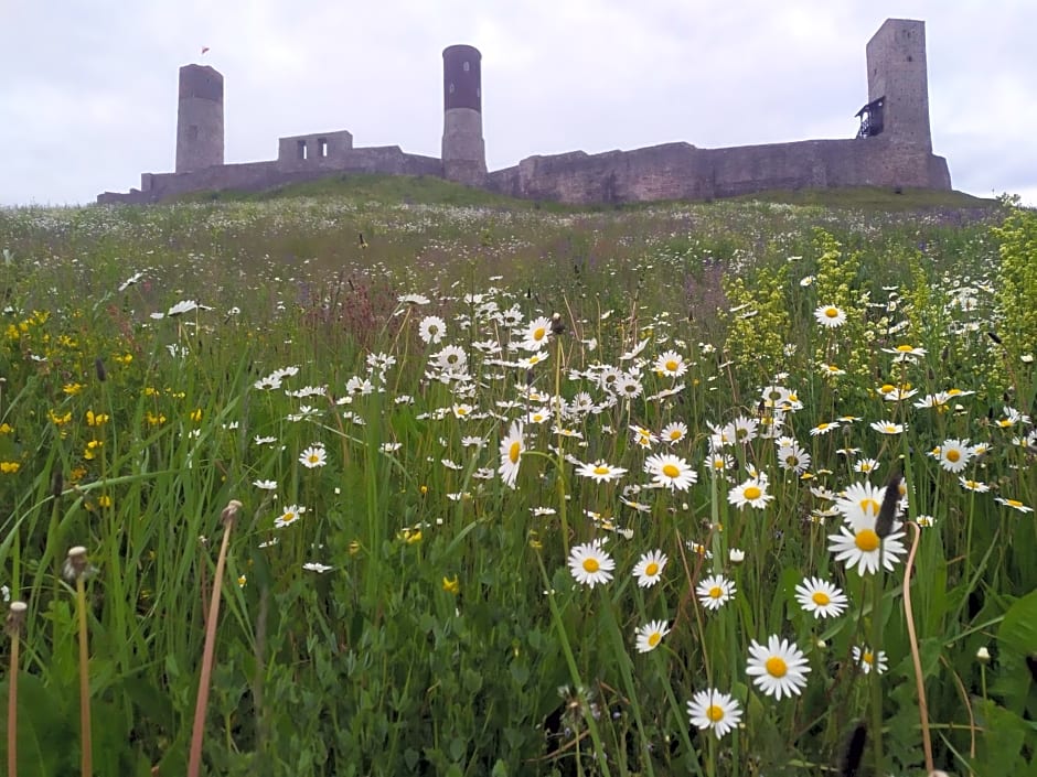 Willa Bona blisko Zamku Królewskiego i Rezerwatu zapraszam na grę miejską Magiczne Chęciny