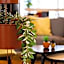 Holiday Inn Express Mechelen City Centre By IHG