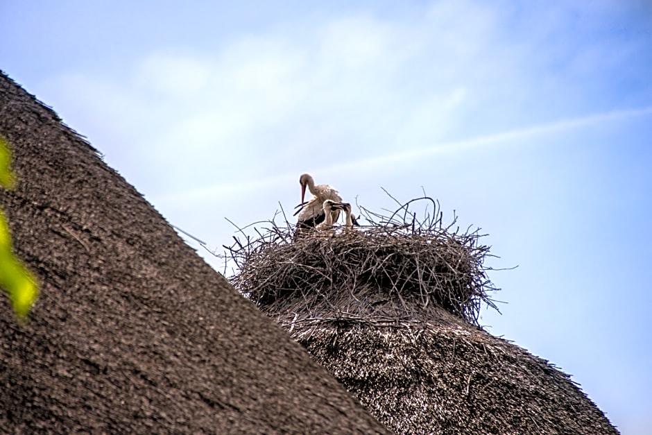 Green Village Resort