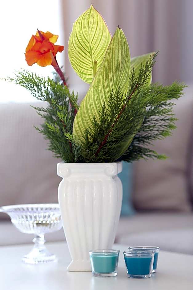 Truemar Hotels & Suites