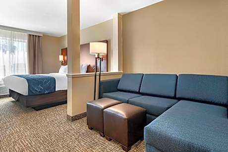 1 King Bed, Suite, Nonsmoking