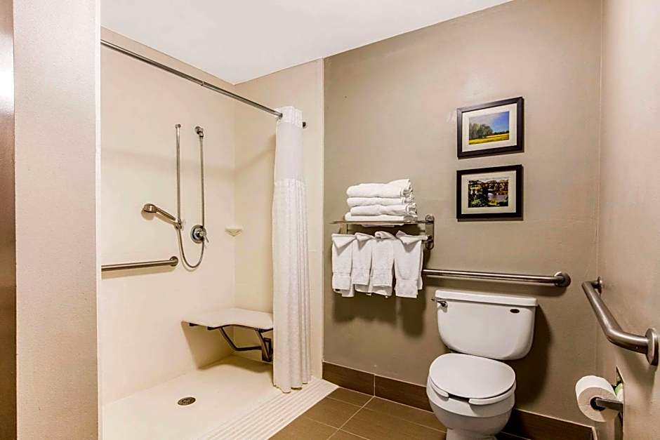 Comfort Suites Tuscaloosa near University