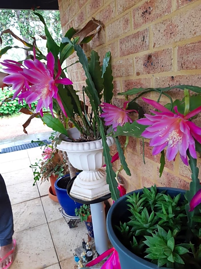 Mundaring Bed and Breakfast