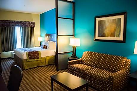 Suite-1 King Bed, Non-Smoking, Pillow Top Mattress, 46 Inch Lcd Tv, Microwave And Refrigerator, Sofa