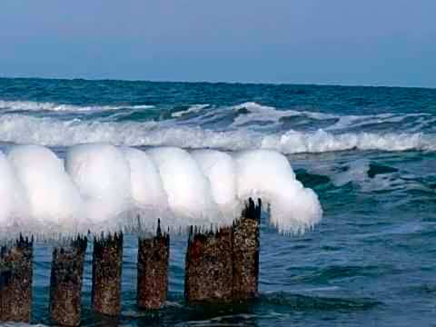 Domki i Apartamenty Całoroczne Koliber