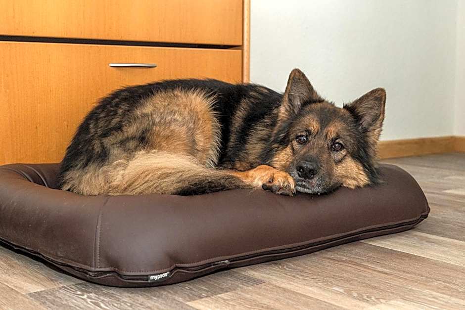 Hotel Villa Halliger