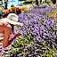 Domaine Ribiera, Hotel 5 Etoiles, SPA & Golf - Forcalquier