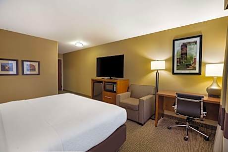King Room - Non-Smoking