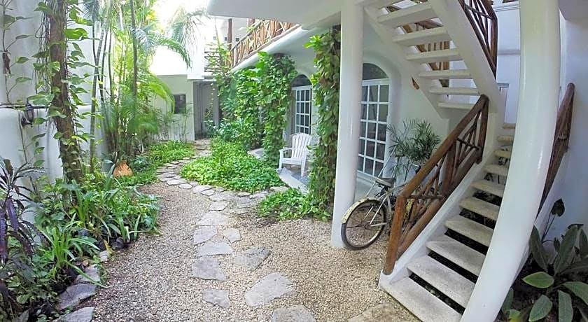 Estudios Selva y Mar by BFH