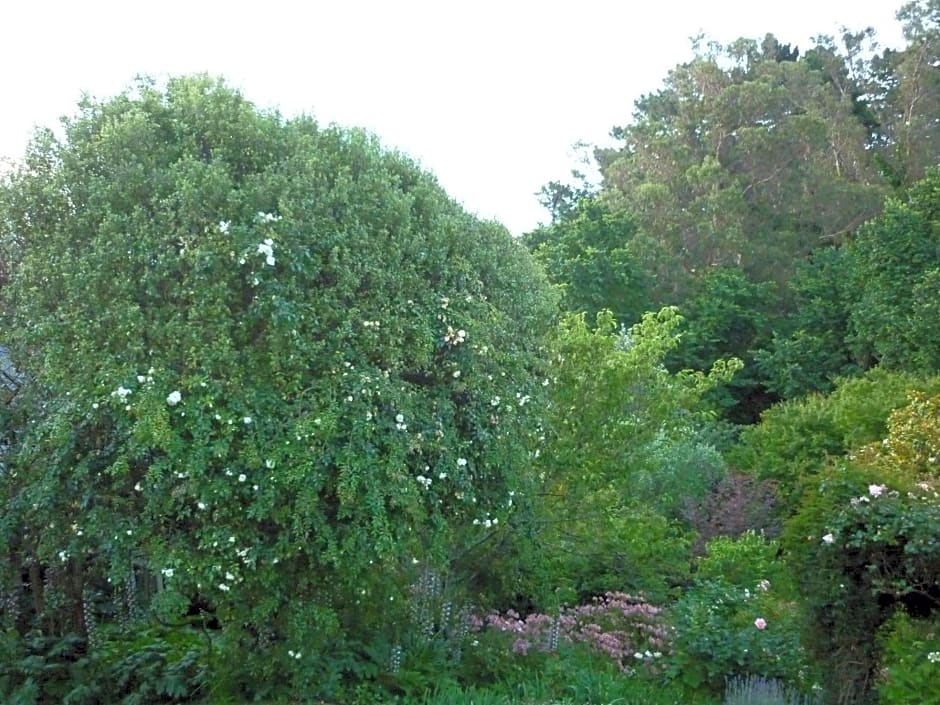 Cobden Garden