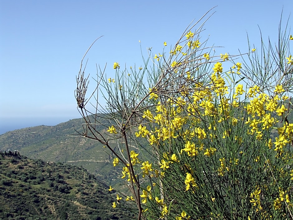 Agriturismo L'Uliveto