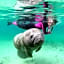 Plantation Resort on Crystal River, Ascend Hotel Collection