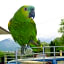 Le Paon Bleu Annecy Poisy