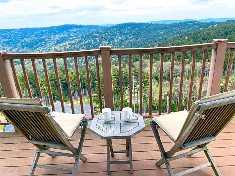 Remodeled Ski In-Out - 305 Soaring Eagle - Luxury!