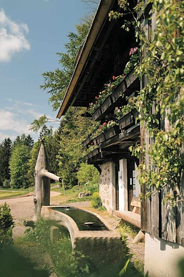Der Hirschen