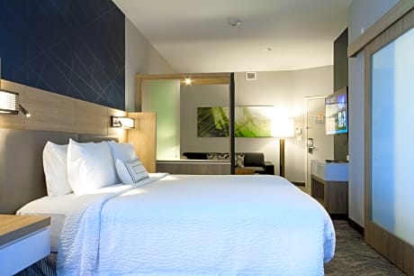 Suite, 1 King Bed with Sofa bed (1 King Bed and 1 Double Sofa Bed)