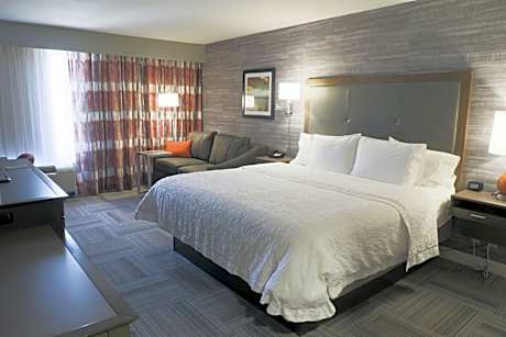1 King Bed Study With Sofabed Nonsmoking