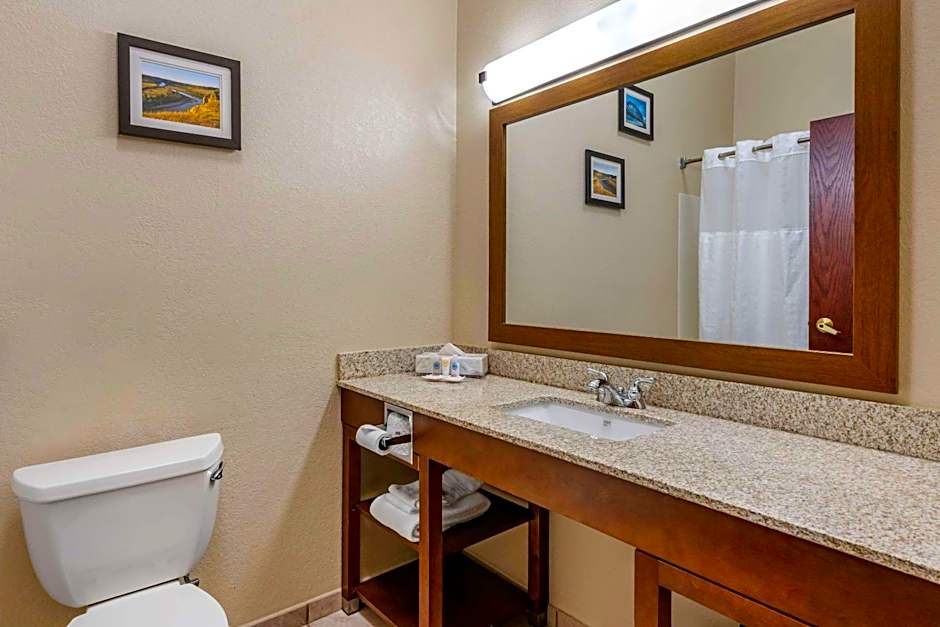 Comfort Inn & Suites St Louis-O'Fallon