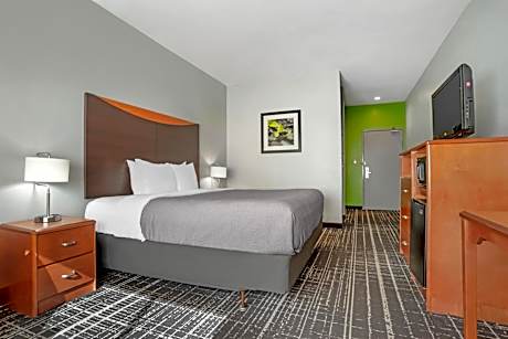 1 King Bed, Nonsmoking, Accessible