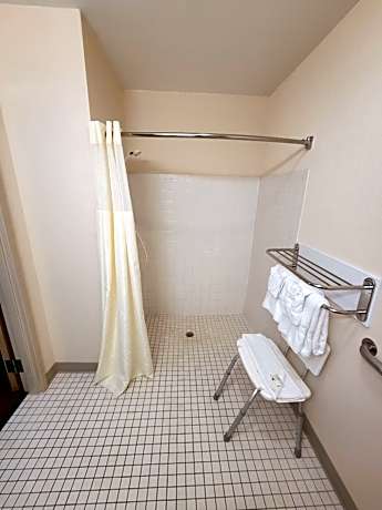 Queen Room with Roll-In Shower - Accessible/Non-Smoking