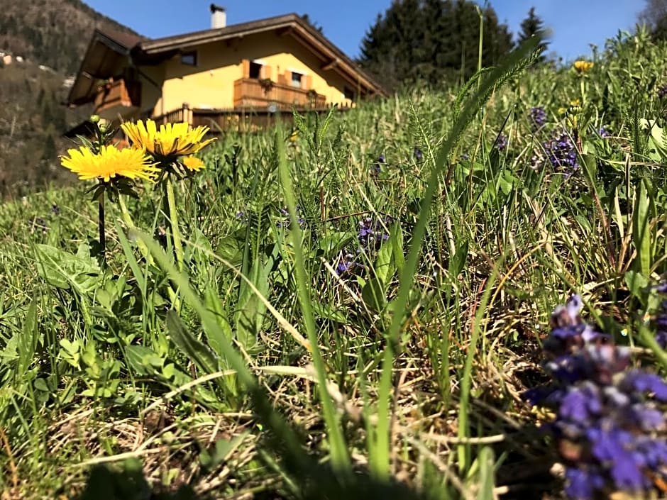 Eco-Baita Natura Spensierata