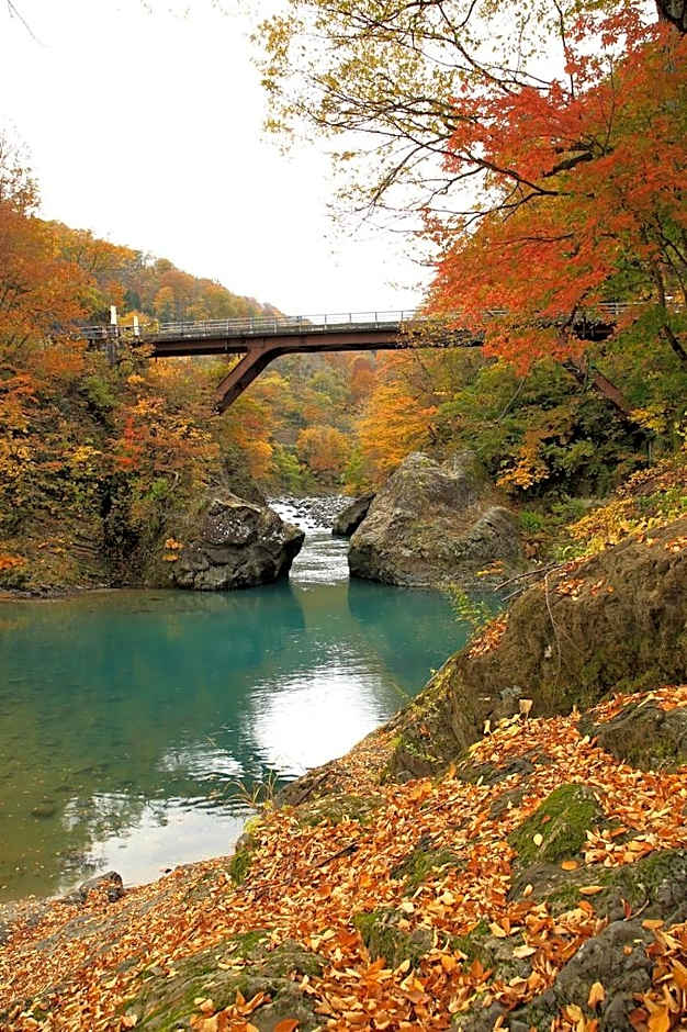 Sakamaki Onsen Kawatsuya