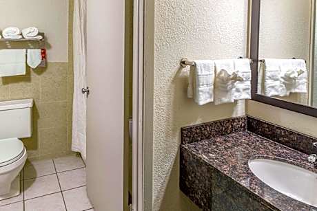 Queen Suite