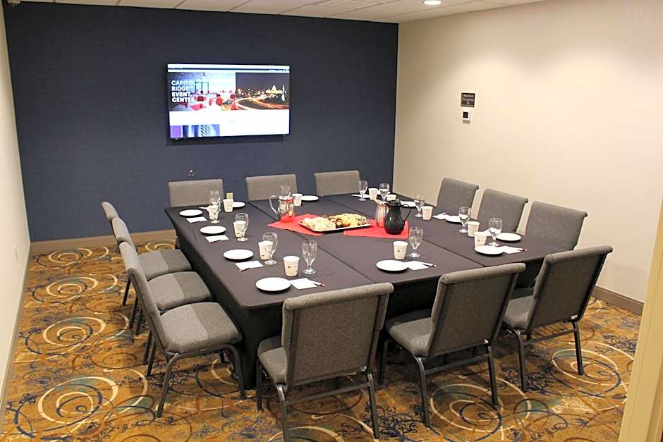 Radisson Hotel St Paul Downtown