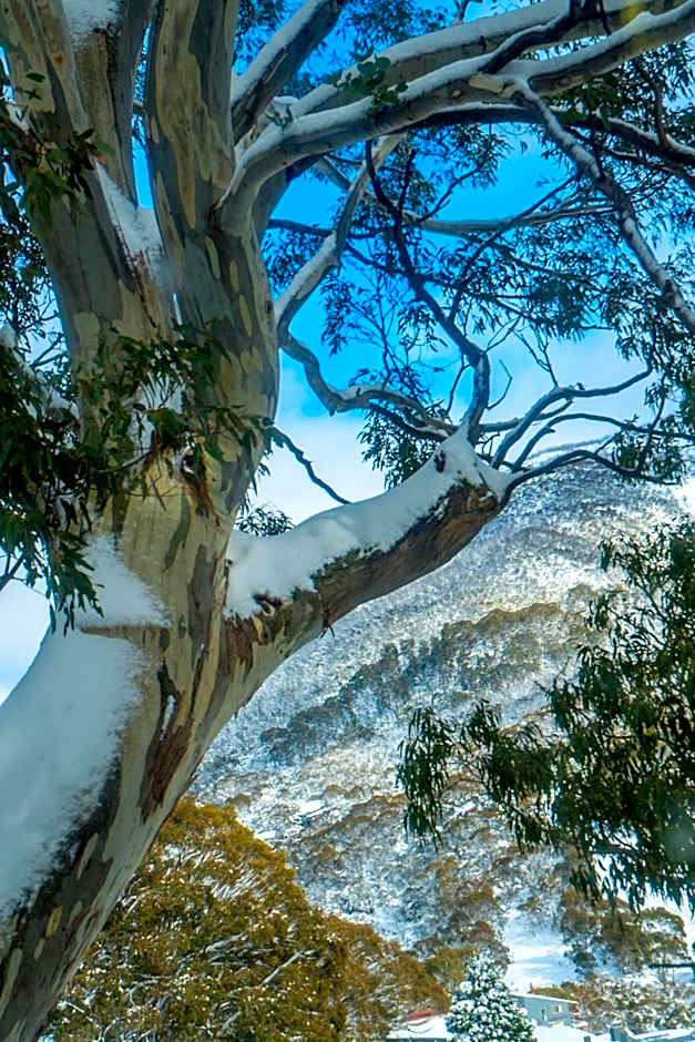 Pure Chalet Thredbo