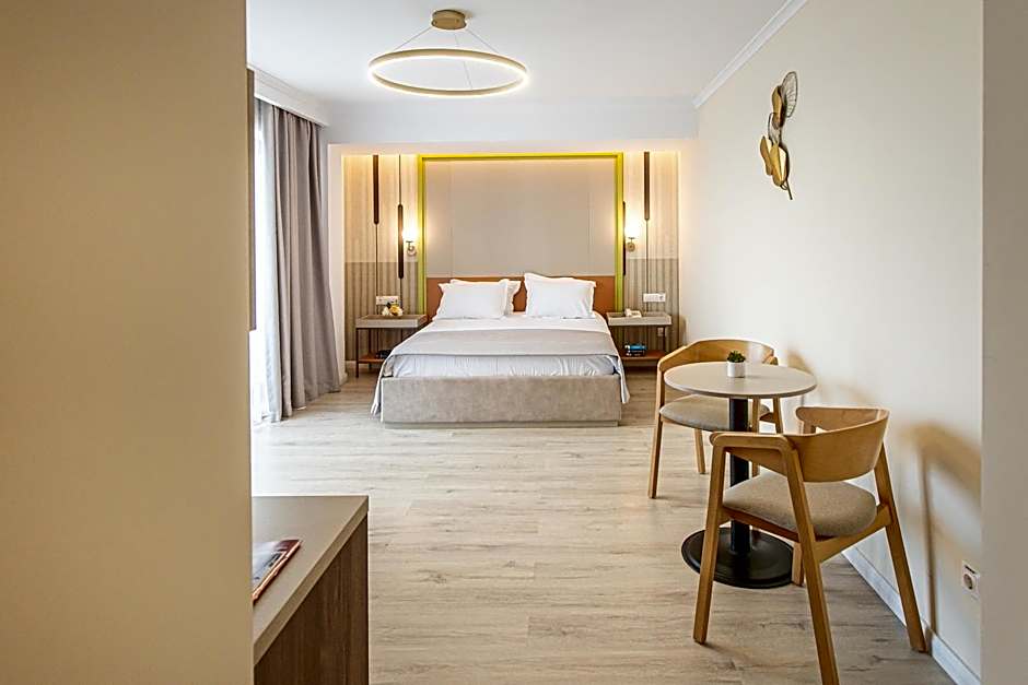 Hotel Anina
