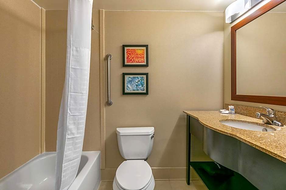 Comfort Inn & Suites Nashville Franklin Cool Springs