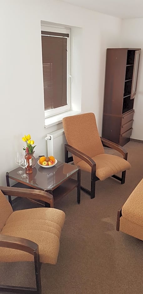 Penzion CERNY MLYN SOKOLOV