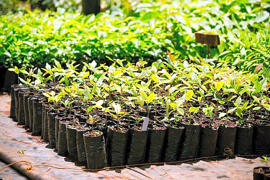 Brackenhurst Conference and Retreat Centre