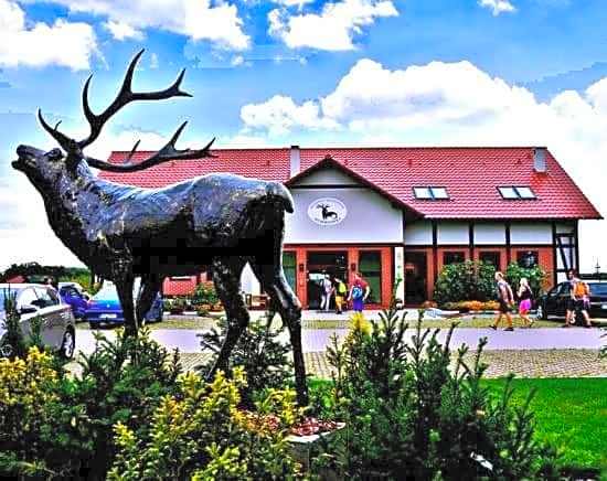 Pensjonat i Restauracja Hubertówka