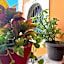 Hotel Casa Mallorca