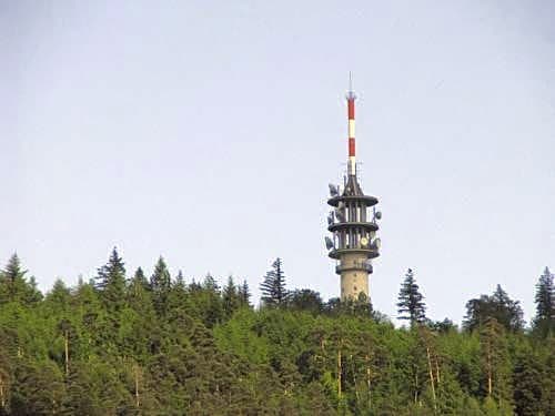 Gasthaus Rebstock