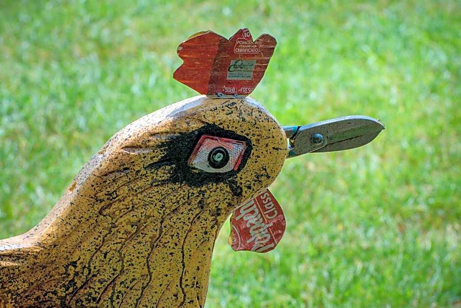 Rooster Guesthouse Rooms
