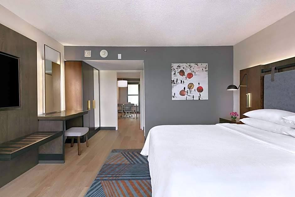 Photo 1 of 7 of 1 King Bed Suite, Mobility Accessible, Bathtub