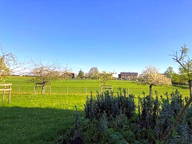 Hotel-Pension-Waldblick