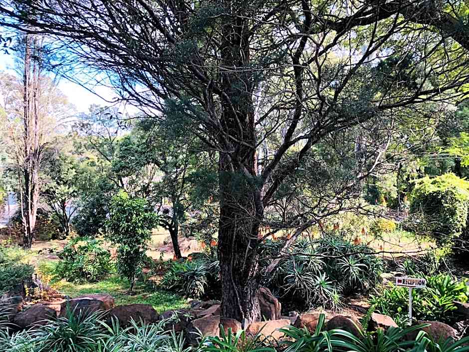 Peaches & Cream Bed & Breakfast