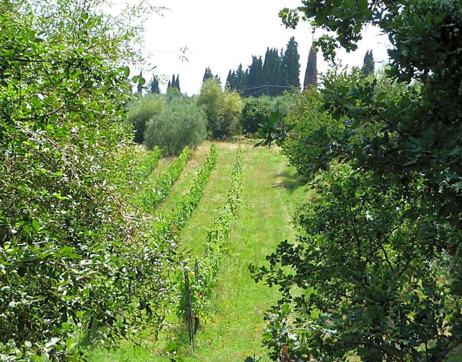 A Casa di Lizzy B&B