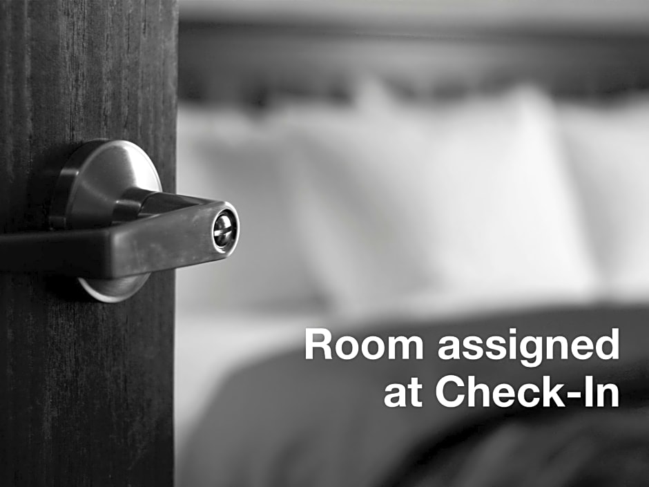 Holiday Inn Express Hotel & Suites Tampa-Fairgrounds-Casino By IHG
