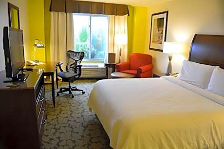 1 King Bed