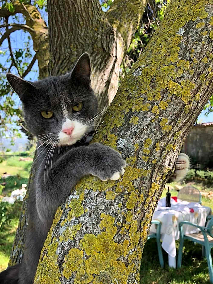 B&B Il Poggio di Fiore